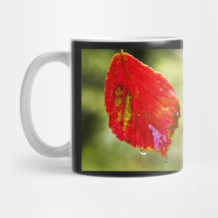 Red Alder Leaf Mug